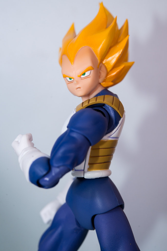 is broly vegeta’s brother
